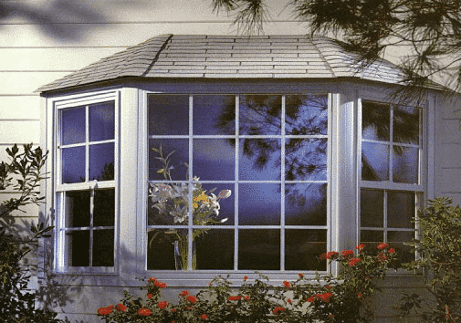 Bay Windows